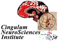 CINGULUM NEUROSCIENCES INSTITUTE, INC.