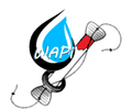 WAPI's for the World